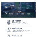 닥터클라우더 베스트초이스 주니어 미디엄 라이프사이클 후기
