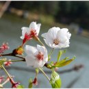 회암소류지 이미지