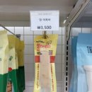 도그마캣제주 - 서귀포시 동홍중앙로 70 | 도그마캣제주