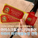 섬등농장 | 돌 플랜테이션 오아후섬 하와이 파인애플 농장 위치 기차투어