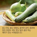 면역력 높이고 감기 예방하는 ‘주키니호박’ 요리 이미지