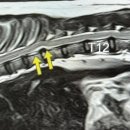 봄나래동물병원 이미지