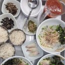 떳다위세프 | 경주 맛집 추천 회밀리떳다 신선한 회와 물회 감동