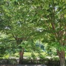 단곡화장실2 이미지