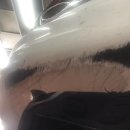 스피드메이트 대전 청사점 이미지