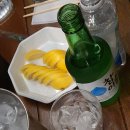 순수산 Daum카페