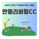 풍일로(풍천면) | 투자 가치 주목! 안동리버힐CC 회원권에 대해