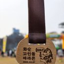 영암군 공설운동장 | 2025 화순고인돌 마라톤대회 하프 따라간 후기 PB달성