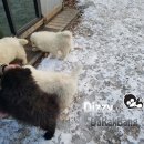 춘향이와 방자 이미지