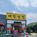 새말반점