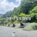 대룡산오토캠핑장 이미지