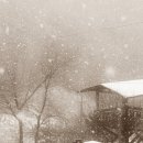 첫눈이네집 이미지