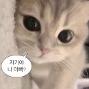 소품가게