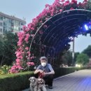 네임드 살롱 이미지