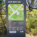 어모 에이블뉴스