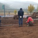 신성목재합판상사 이미지