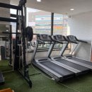 1994복싱 이미지