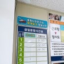 팡팡PC | 경남 거제 가볼만한곳 <장사도 해상공원 까멜리아> 근포항 유람선 타고 10분, 거제 장사도 겨울 여행 후기