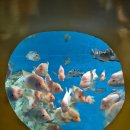 보문산공원로 이미지