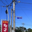 주문진황금돼지 이미지