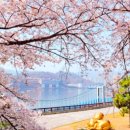 월영동225 이미지