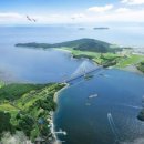 신안성장 이미지