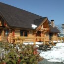 통나무Ⅱ 이미지