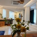 살구 스테이 이미지