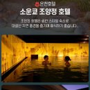 플라워로드 티스토리