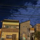 [＜ 일 출석부 ＞] 11월 9일 - 미술관 순례 - 이미지