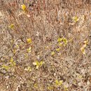 푸른봄한의원 이미지