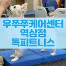 UZUZU 우쭈쭈케어센터 역삼점 반려견 1:1 맞춤형 PT 독 피트니스 후기