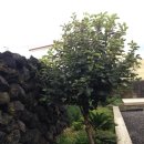 여기우리펜션 이미지