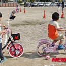 충주중앙탑초등학교 이미지