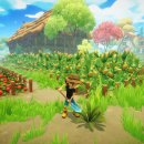 드림벨리 이미지