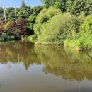 하마낚시터 이미지