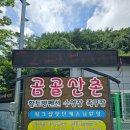 곰골산촌 | 광양 계곡 추천은 곰골산촌이 좋더라고요