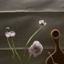 건강한나