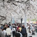[속보] 청주 벚꽃축제서 여중생 집단폭행 사건…경찰, 10대 4명 입건 이미지