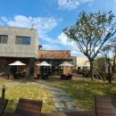 제주올리브스파앤풀빌라 이미지