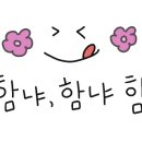 일로야채 이미지