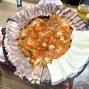 2407랩 | 2407 일상 (5) 강력강쥐들의 우정촬영