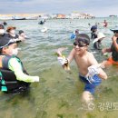 천진해변 이미지