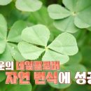 클로버농장 이미지