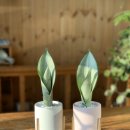 채희농장 이미지