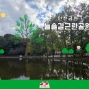 늘솔길근린공원양떼목장 이미지