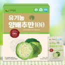 속 쓰린 아침, 비린내 뺀 100% 양배추즙의 반전