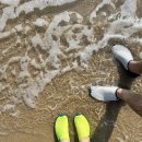 후포바닷가 바다수영후기🌊물치상회·네컷버스 맞은편