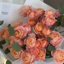 로즈 플라워(ROSE FLOWER) | 봉담 꽃집 리블룸 플라워 줄리에타 장미 온리로즈다발