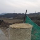 구만리농장 네이버블로그